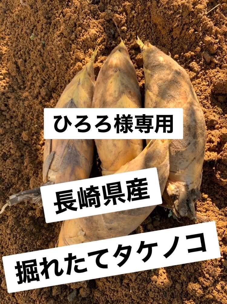 長崎県産たけのこ 筍 タケノコ - メルカリ