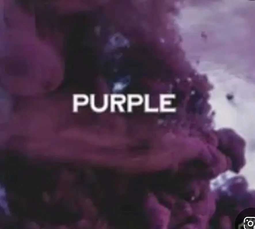 触れた PURPLE ヴァイナル ビニールレコード CD