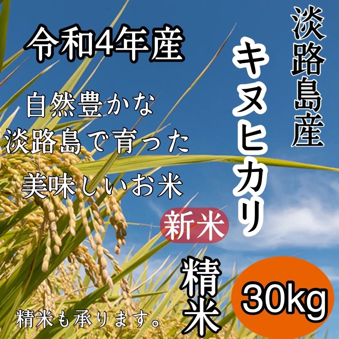 令和4年 産 キヌヒカリ 玄米30キロ 淡路島 精米小分け可 30kg - 米