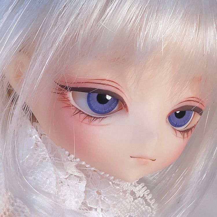 Harmonia bloom blooming doll root (Head-Nagi)