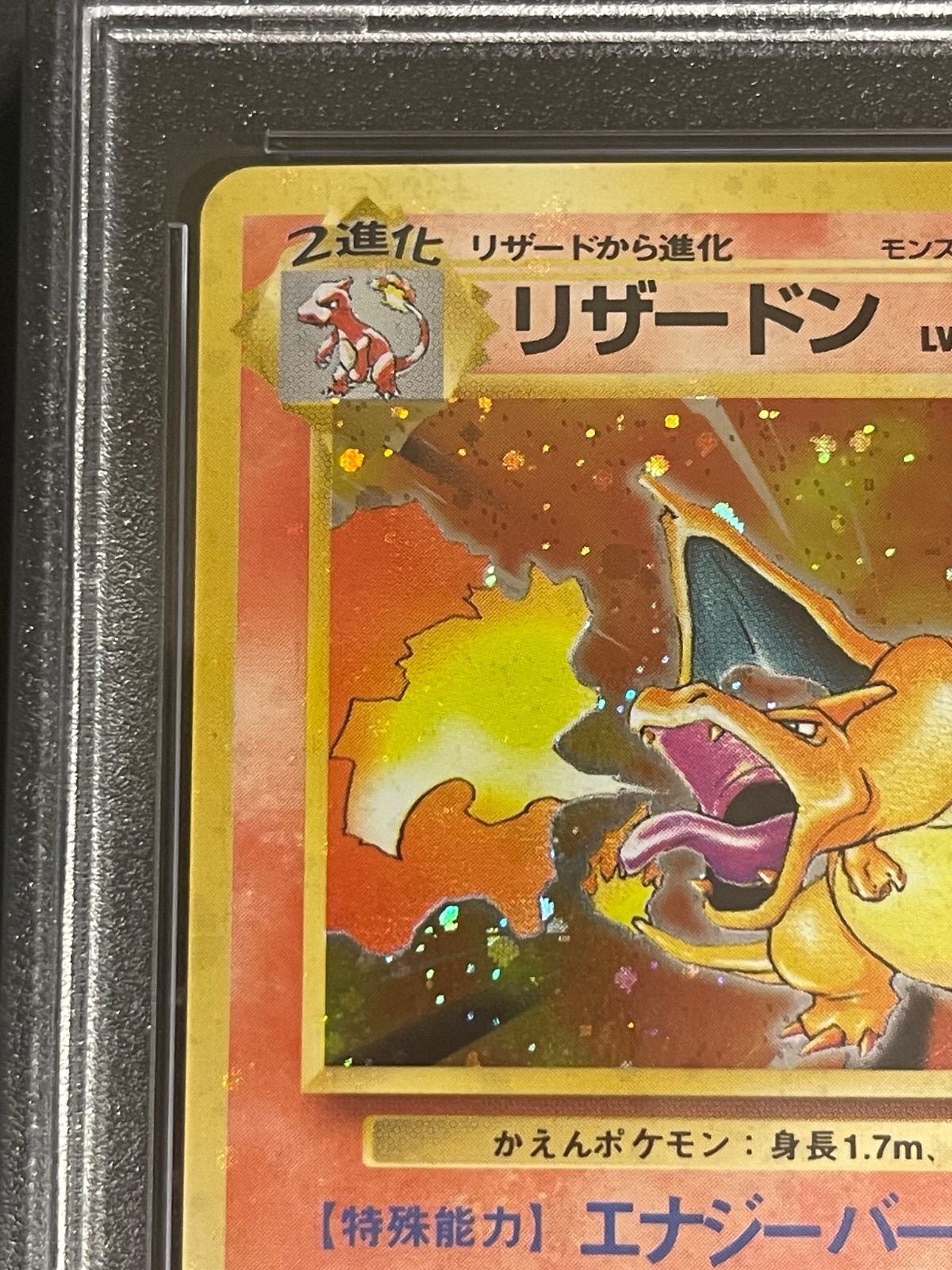 旧裏 PSA8鑑定品