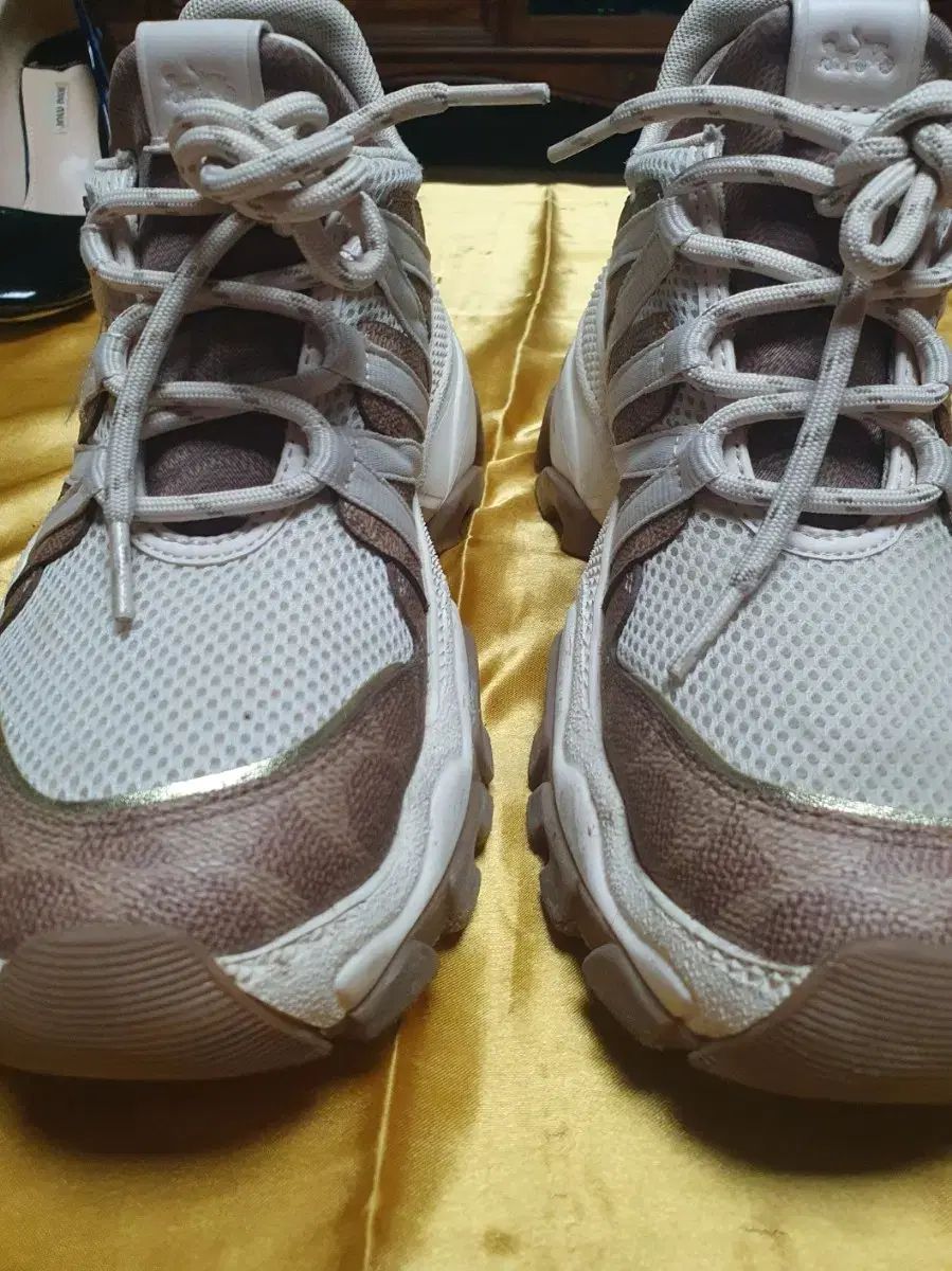 COACH コーチ 245 250