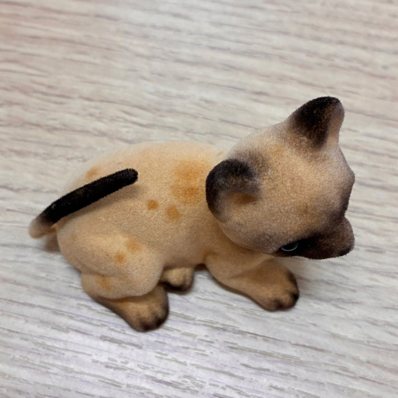 centex 猫＆西表山猫＆ラッコの赤ちゃん　中古品 cat-am-akaringo-12.jpg