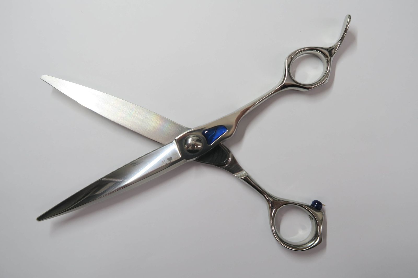 トギノン マリンシャーク 研ぎたて Bランク【トギノン TOGINON