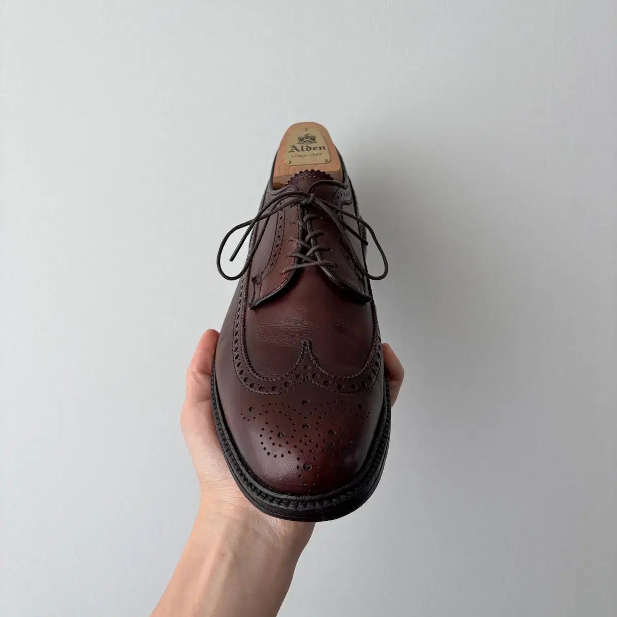 Wing tip
