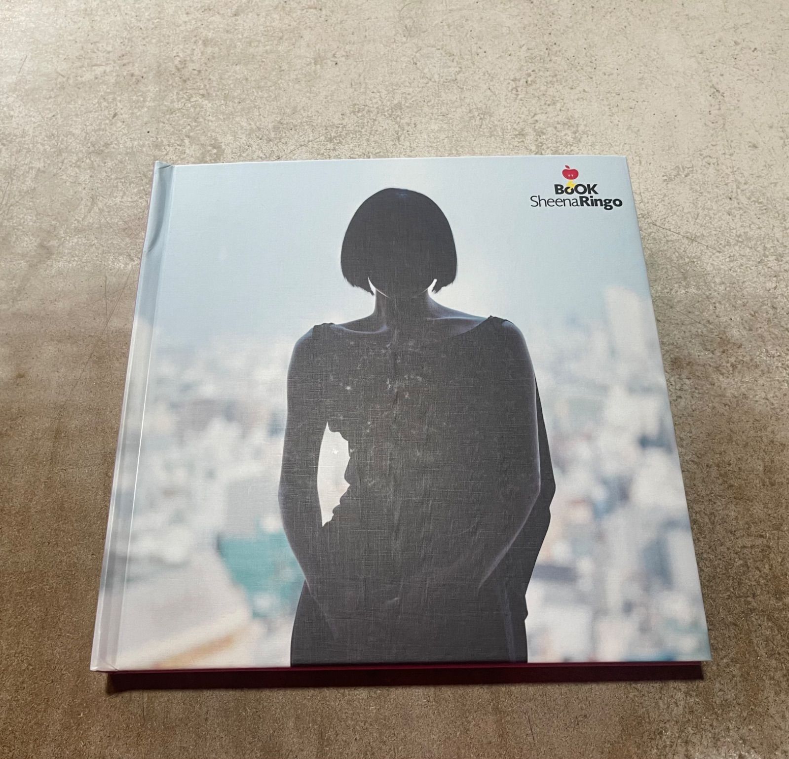 椎名林檎Sheena Ringo Book デビュー10周年限定パンフレット - メルカリ