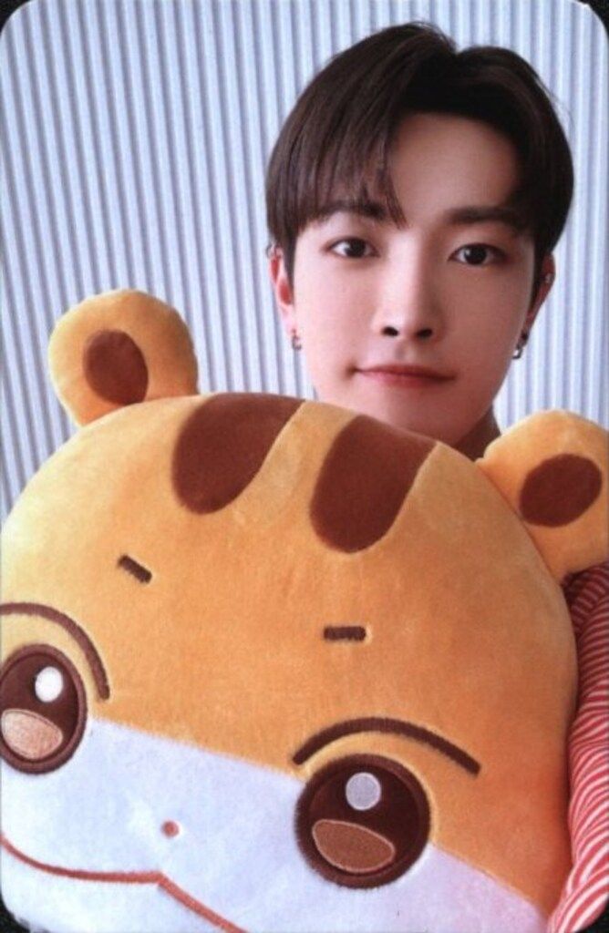 最安！ATEEZ ANITEEZ クッション ホンジュン ATEEZ クッション HONG JOONG ANITEEZ IN ICE CITY - メルカリ