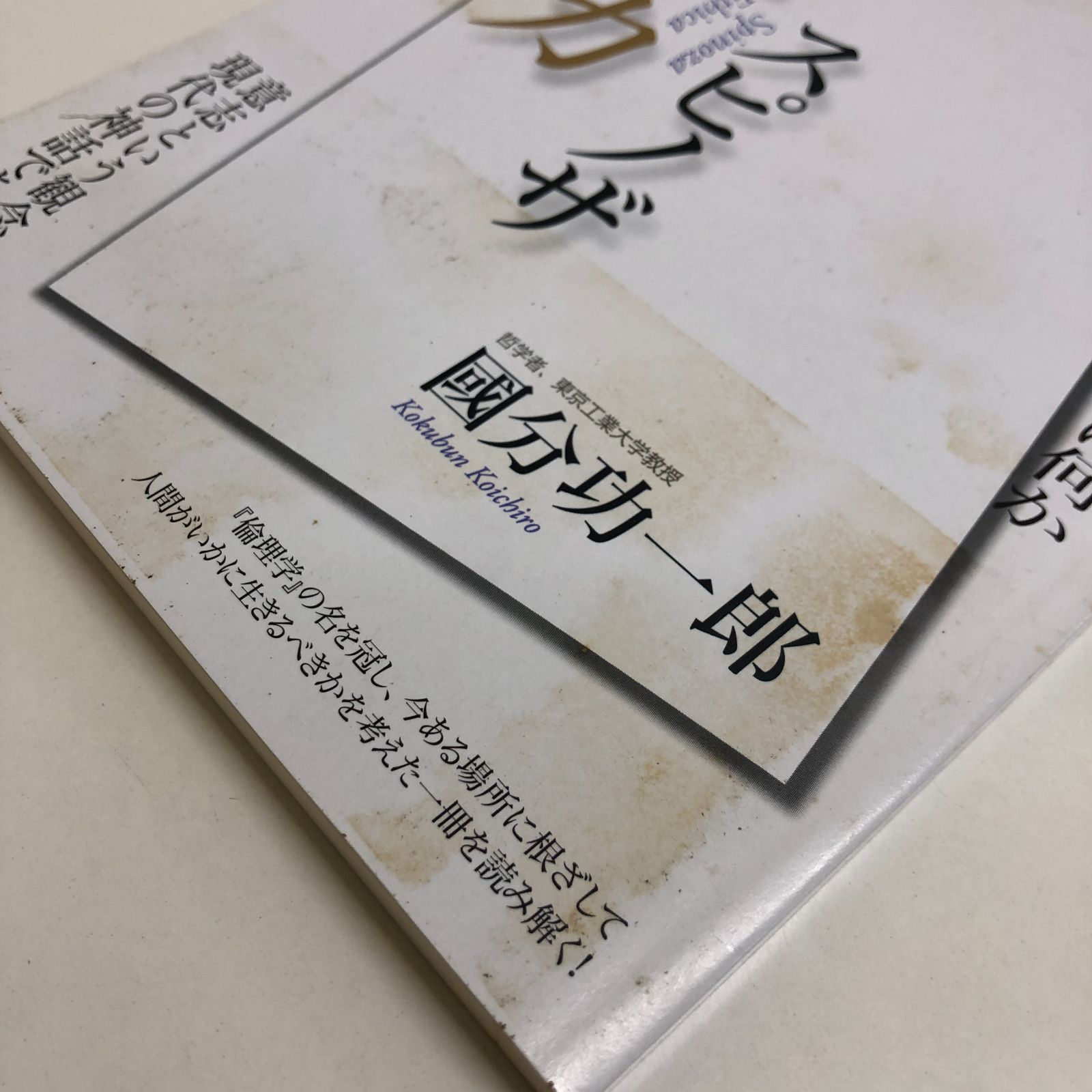 K]スピノザ『エチカ』 2018年12月 (100分 de 名著) 國分 功一郎