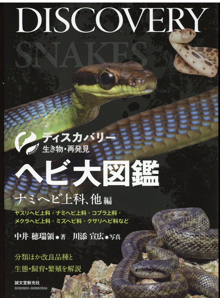 ディスカバリー生き物・再発見 中井穂瑞領/川添宣広 ヘビ大図鑑 分類ほか改良品種と生態・飼育・繁殖を解説