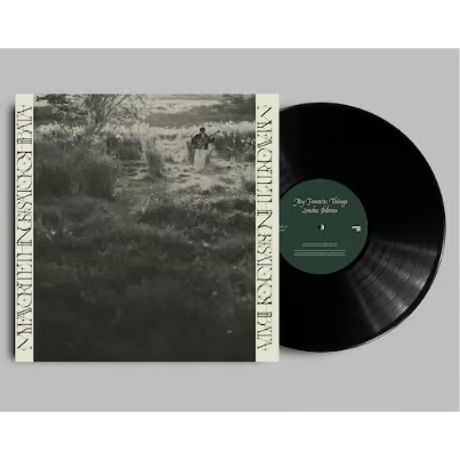 1st プレス 柴田聡子 Your Favorite Things レコード Amazon.co.jp: Your Favorite Things - 柴田聡子: ミュージック