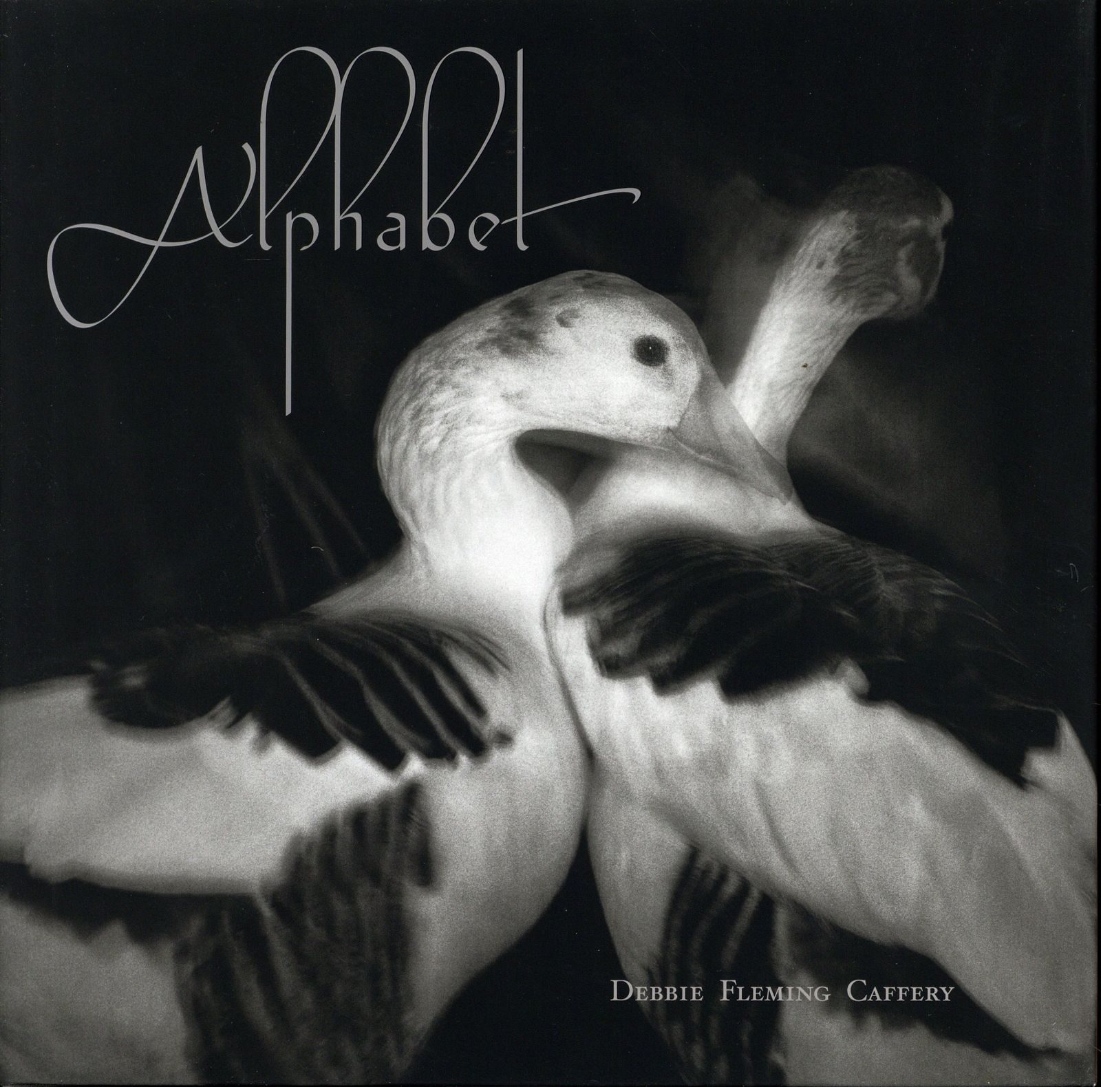 Debbie Fleming Caffery Alphabet