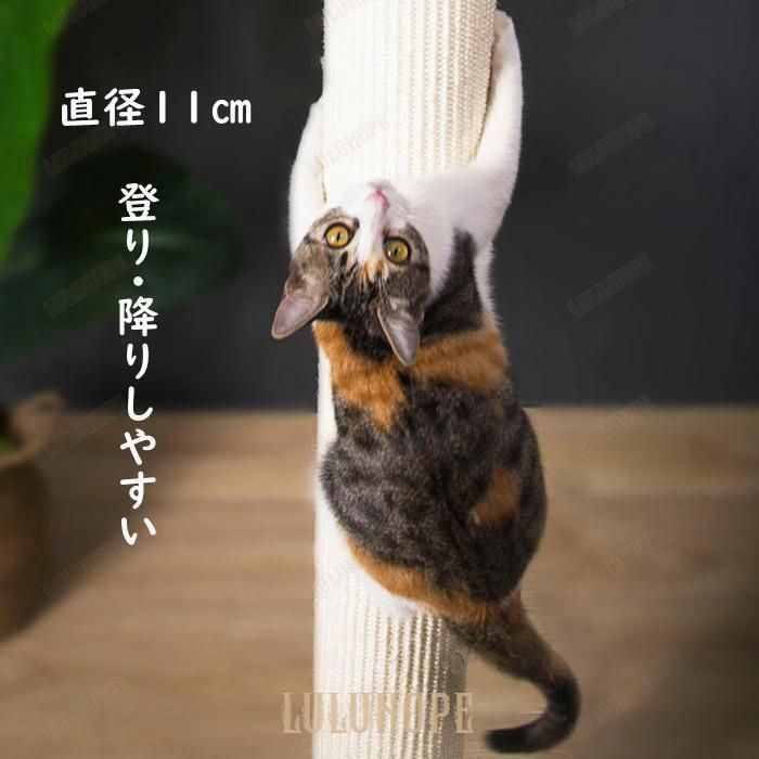 展望台