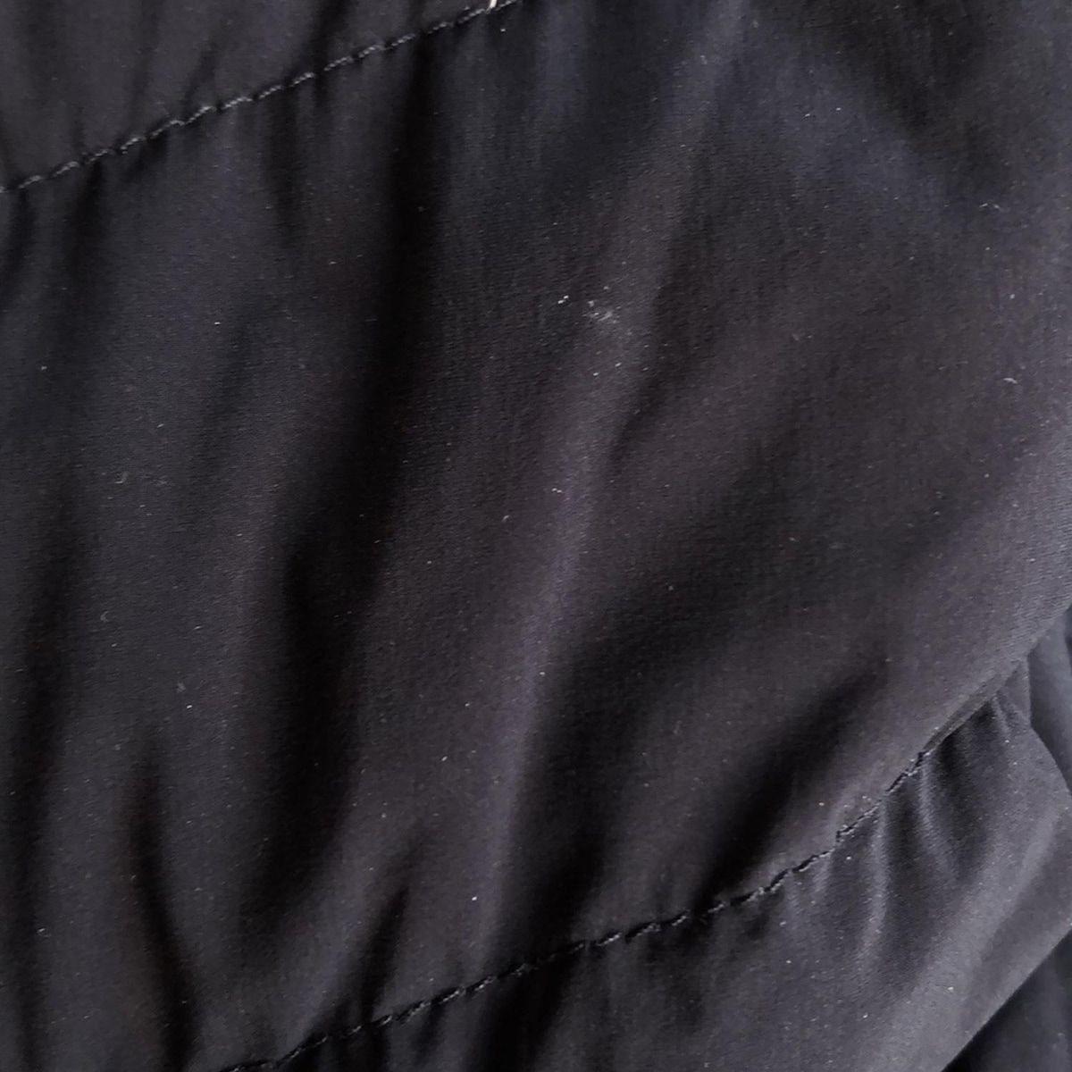 夢を叶える DANTON ダントン ダウンコート サイズM レディース - 黒 長袖 ジップアップ 冬