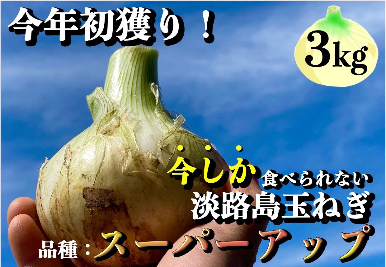 ☆旬を先取り♪☆産地直送！淡路島新玉ねぎ《秀品3kg》送料無料