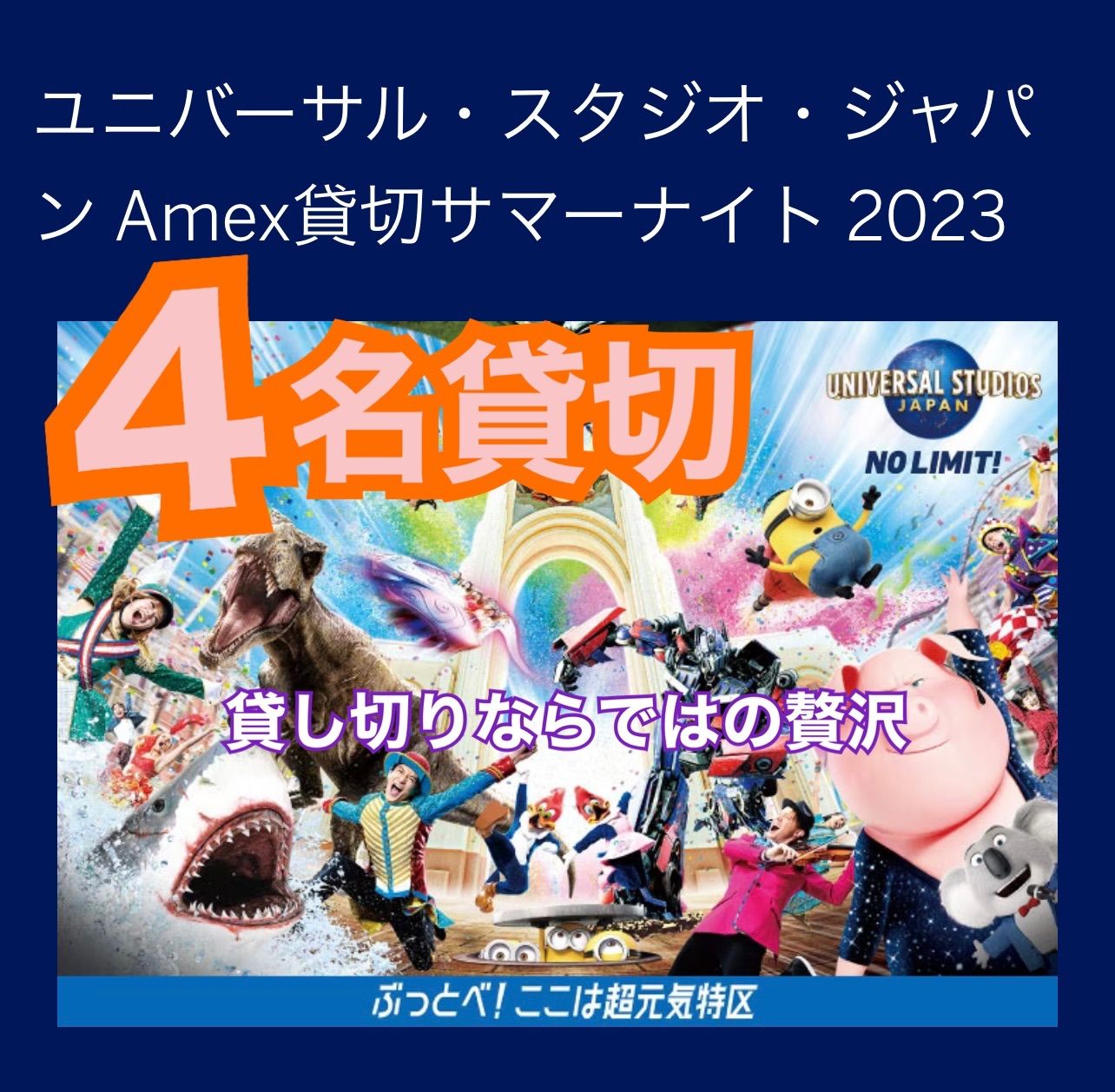 4名 Amex 貸切 サマーナイト2023 USJ チケット 6/10 前売り券