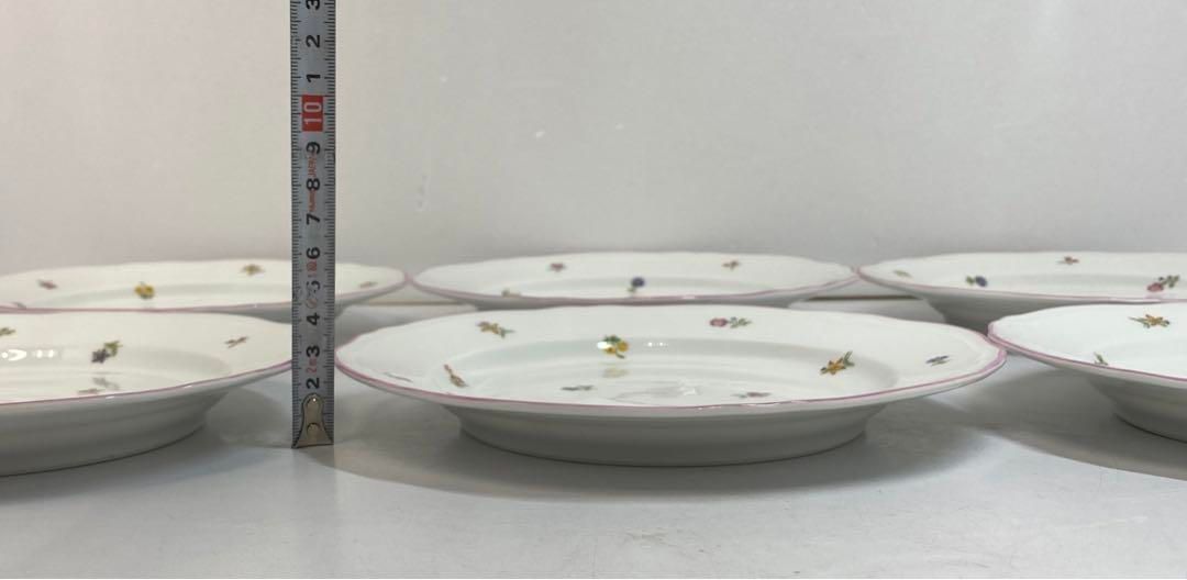 タニチ 直径約21㎝