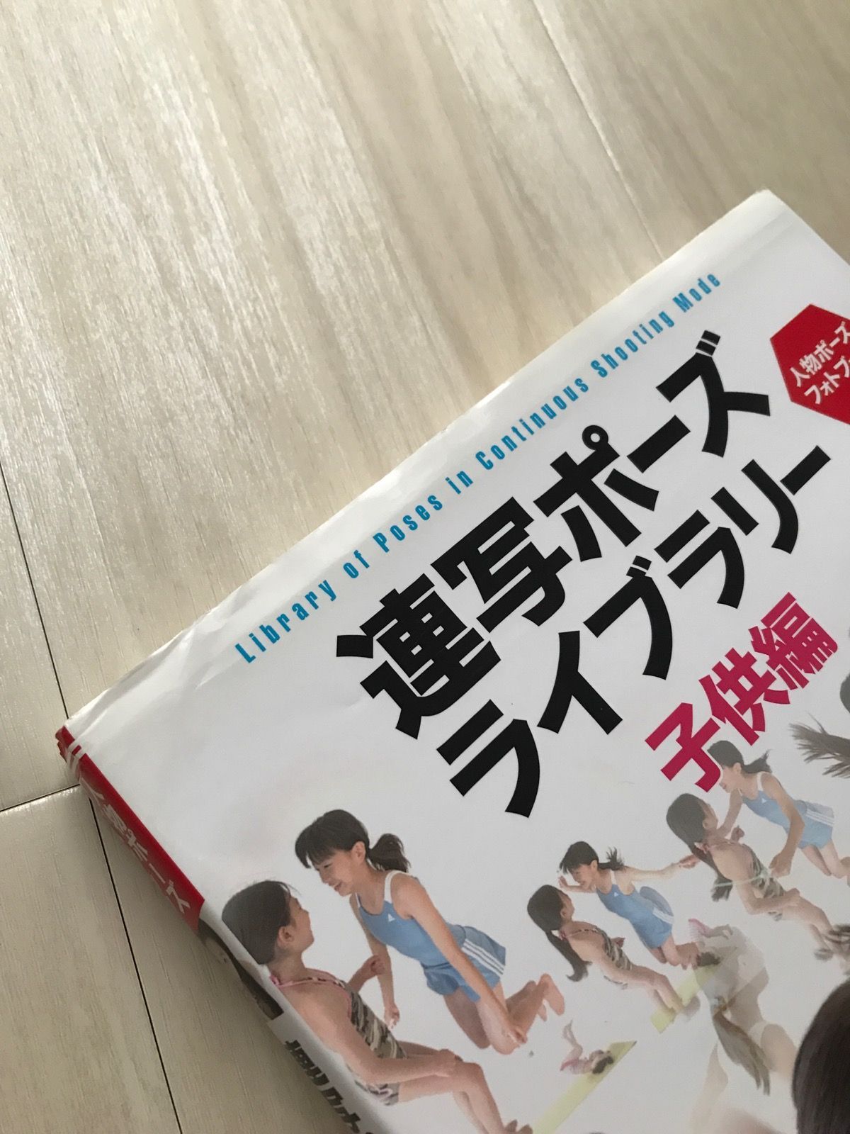 連写ポーズライブラリー : 人物ポーズフォトブック : 究極