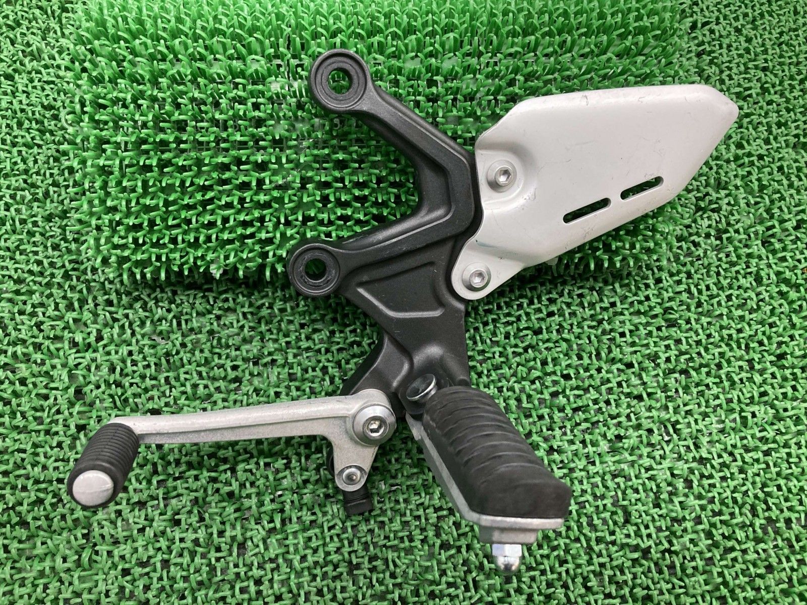 苗木・植木 グレビレア ハニーワンダー オージープランツ 斑入り 苗木