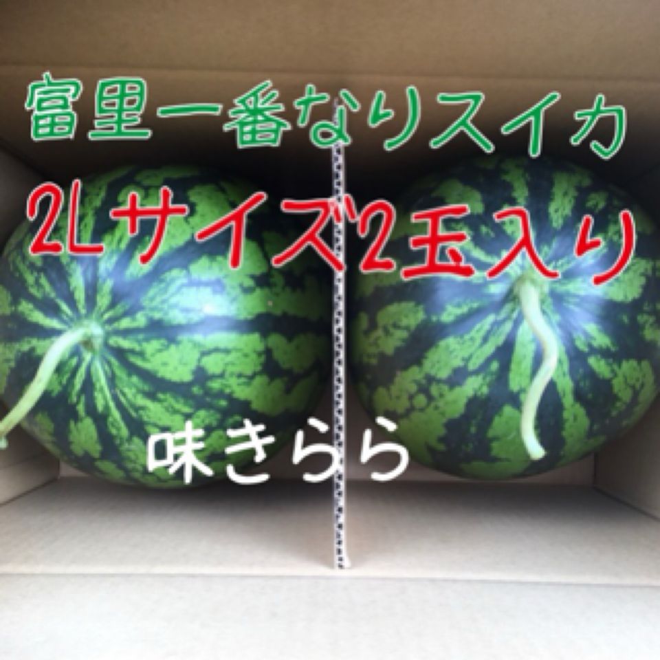 富里1番なりスイカ味きらら3Lサイズ2玉入り 富里1番なりスイカ味きらら3Lサイズ2玉入り - メルカリ