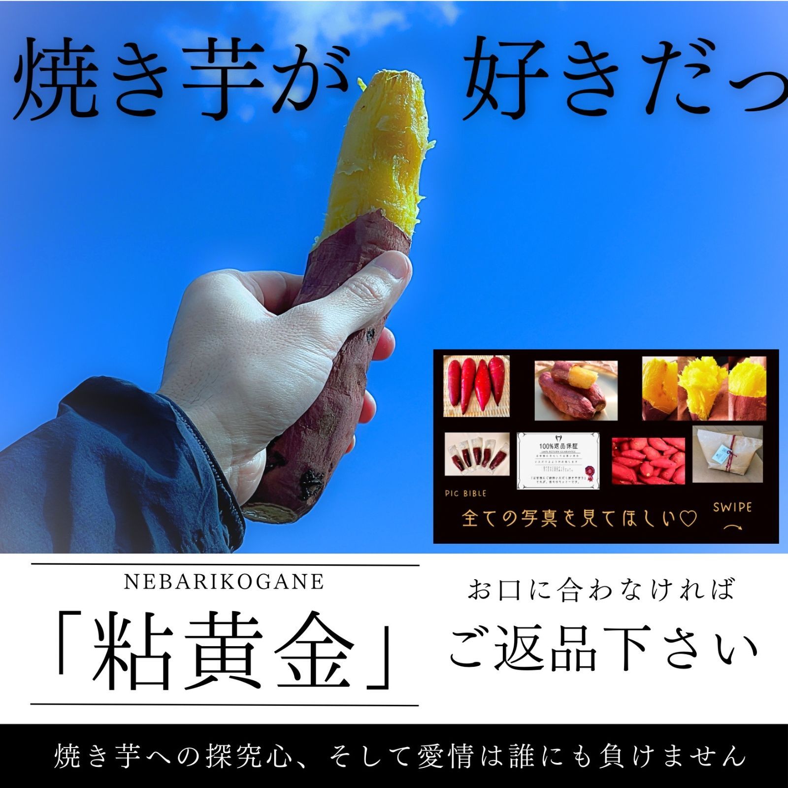 焼きいも　1000ｇ　粘黄金　NEBARIKOGANE　返品可能