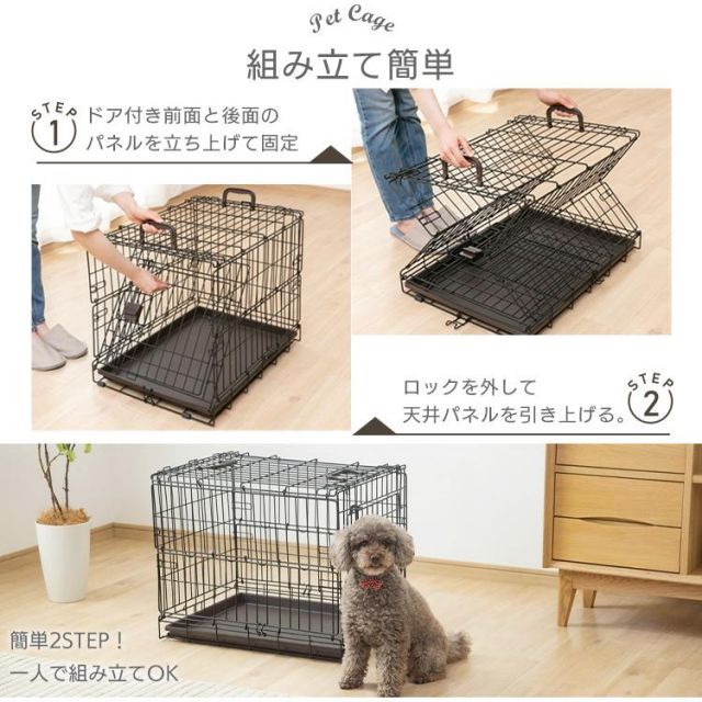 犬 猫