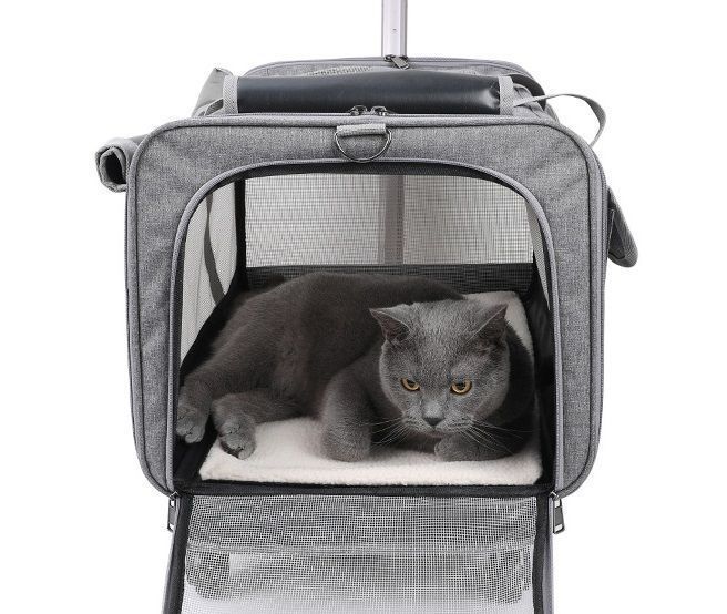 キャスター付き キャリーバッグ