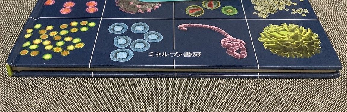 のぞいてみようウイルス・細菌・真菌図鑑 1 (小さくてふしぎなウイルスのひみつ) 小さくてふしぎな ウイルスのひみつ (のぞいてみよう ウイルス
