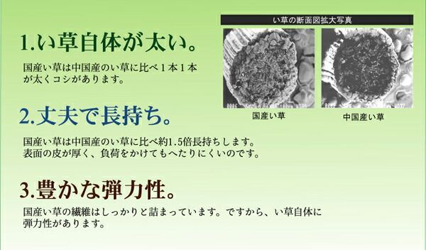 い草 花ござ/ラグマット 【ブロック柄 グリーン 江戸間3畳 174×261cm】 日本製 耐久性抜群 抗菌 防臭 調湿 〔リビング〕【代引不可】 い草 ブロック柄 花ござ&frasl;ラグマット 江戸間8畳 ds-い草 〔江戸間3畳