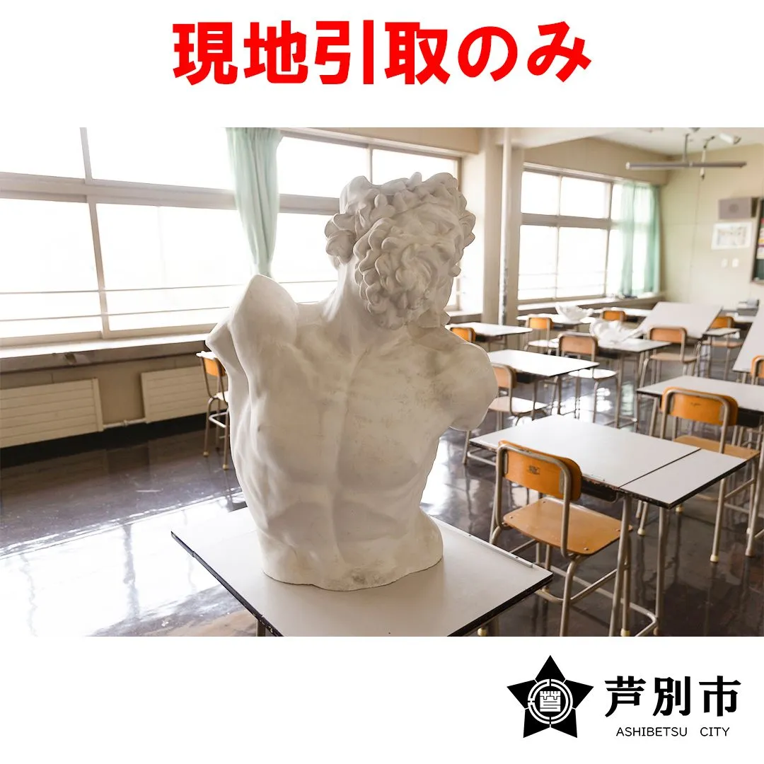 【送料込み】ラオコーン像 石膏 胸像 デッサン 美大受験 送料込み】ラオコーン像 石膏 胸像 デッサン 美大受験