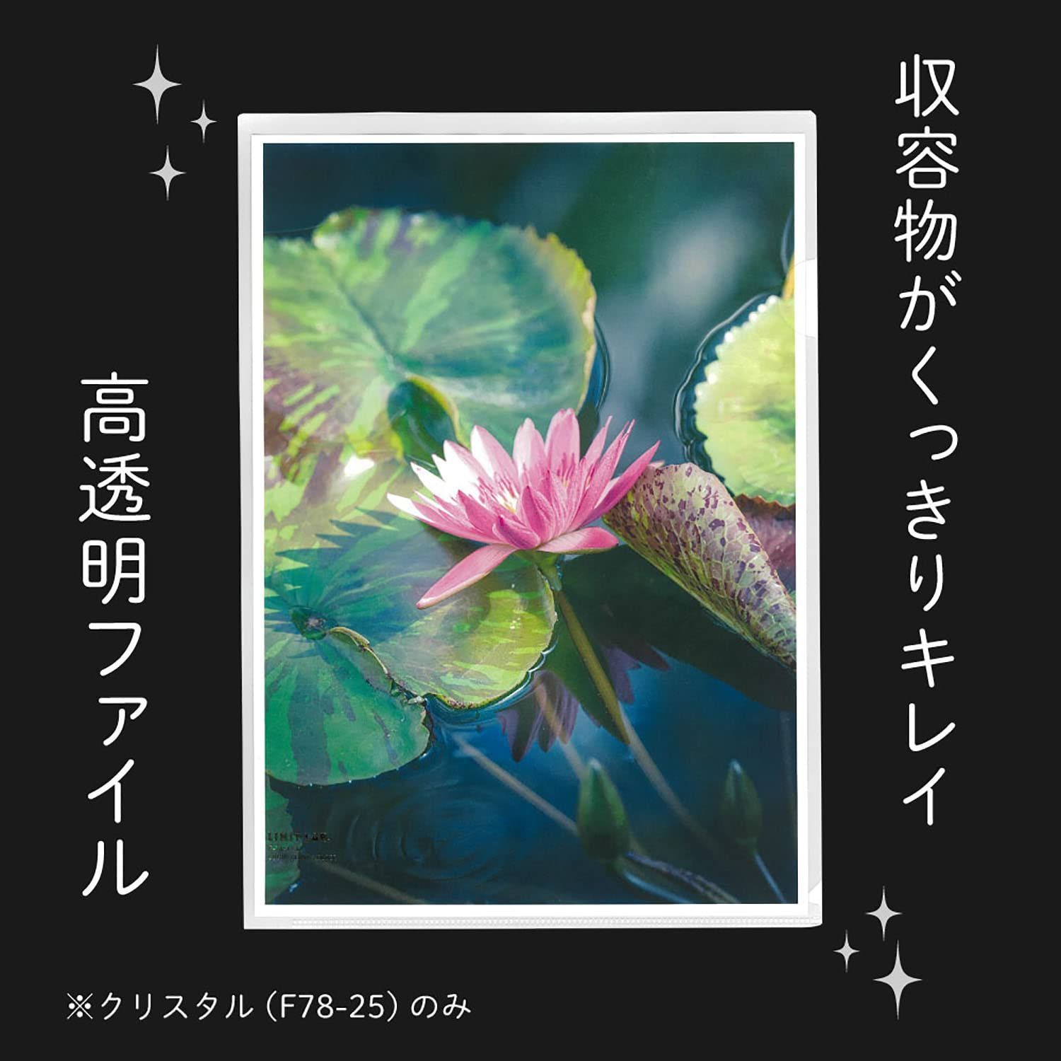 50枚入