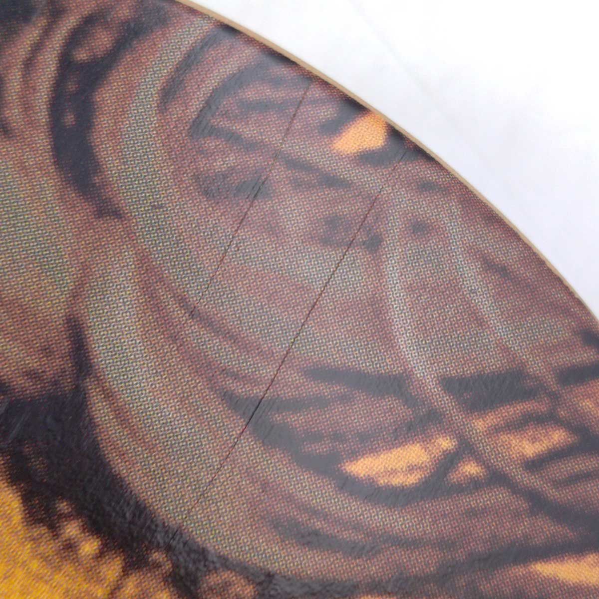 サンタクルーズ