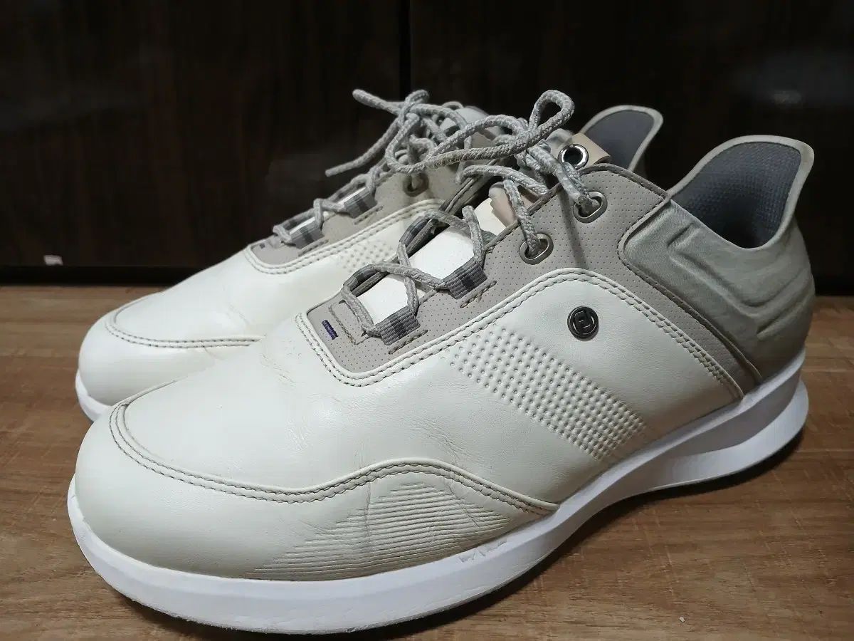FootJoy フットジョイ ゴルフシューズ 260mm