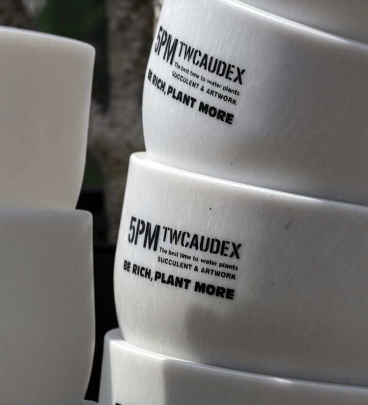 酉 5pm.twcaudex プラスチック鉢 - メルカリ