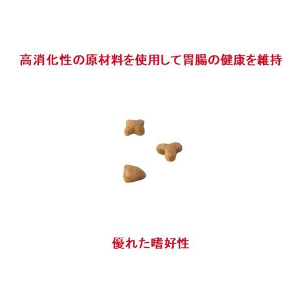 ニュートリション