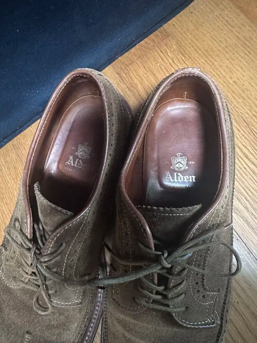 ALDEN(オールデン) スエード ウイングチップ 9794 8 5d 265 ALDEN