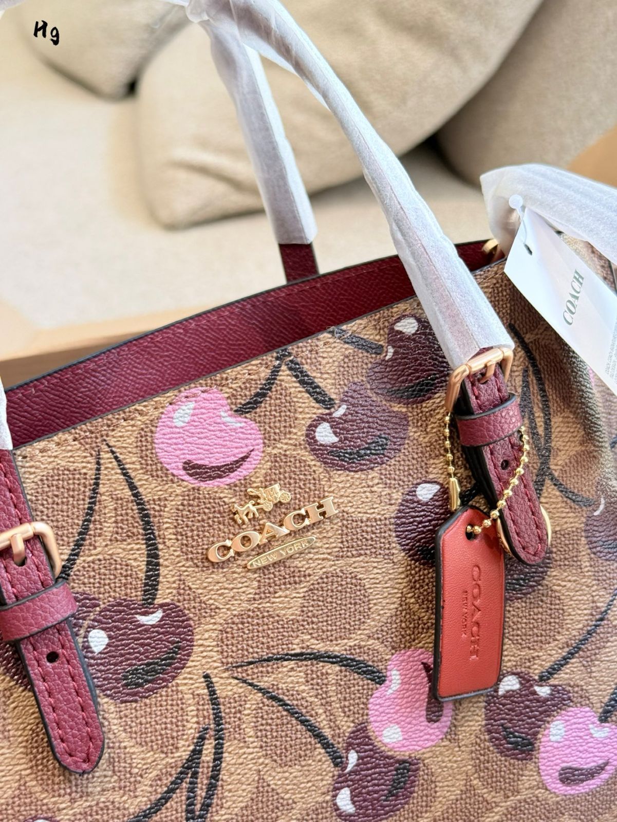 【可愛いチェリー柄★Coach★Mollieトートバッグ25 in Canvas 】 NWT Coach Mollie Tote Bag 25 In Signature Canvas With Cherry
