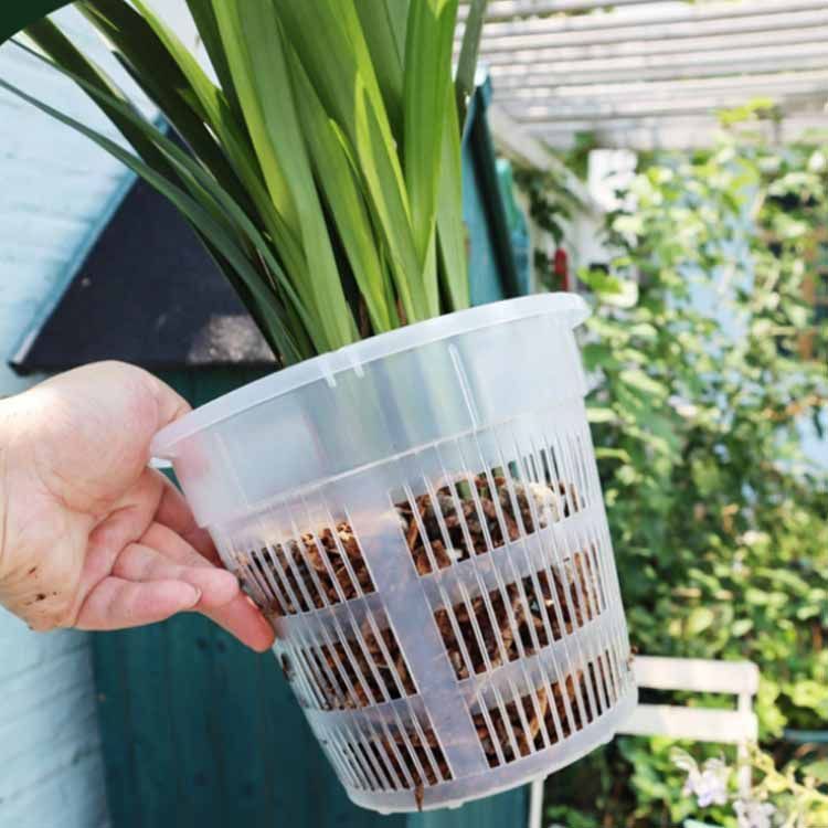10鉢セット オーキッドポット 穴付き 透明 植木鉢 プラスチック 10鉢セット オーキッドポット 穴付き 透明 植木鉢 プラスチック