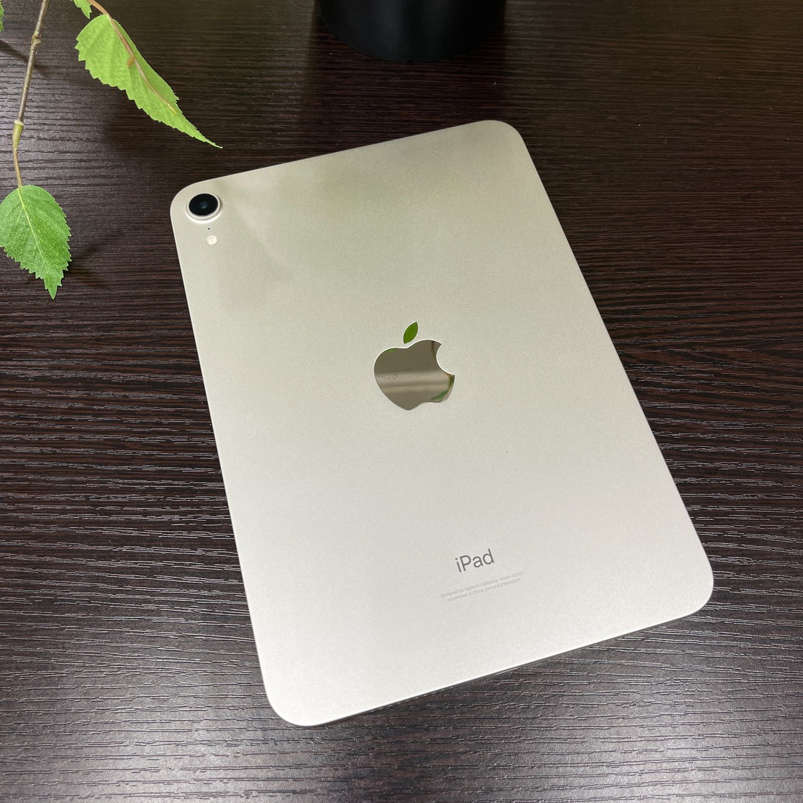 iPad mini 6 256GB Wi-Fiモデル 送料無料