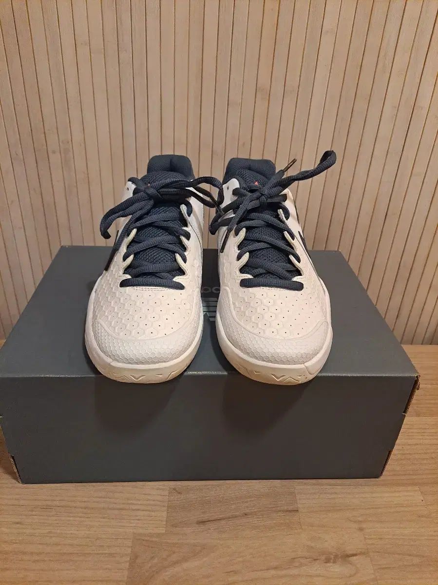 ナイキ 白 青 テニスシューズ 260 サイズ 状態最高