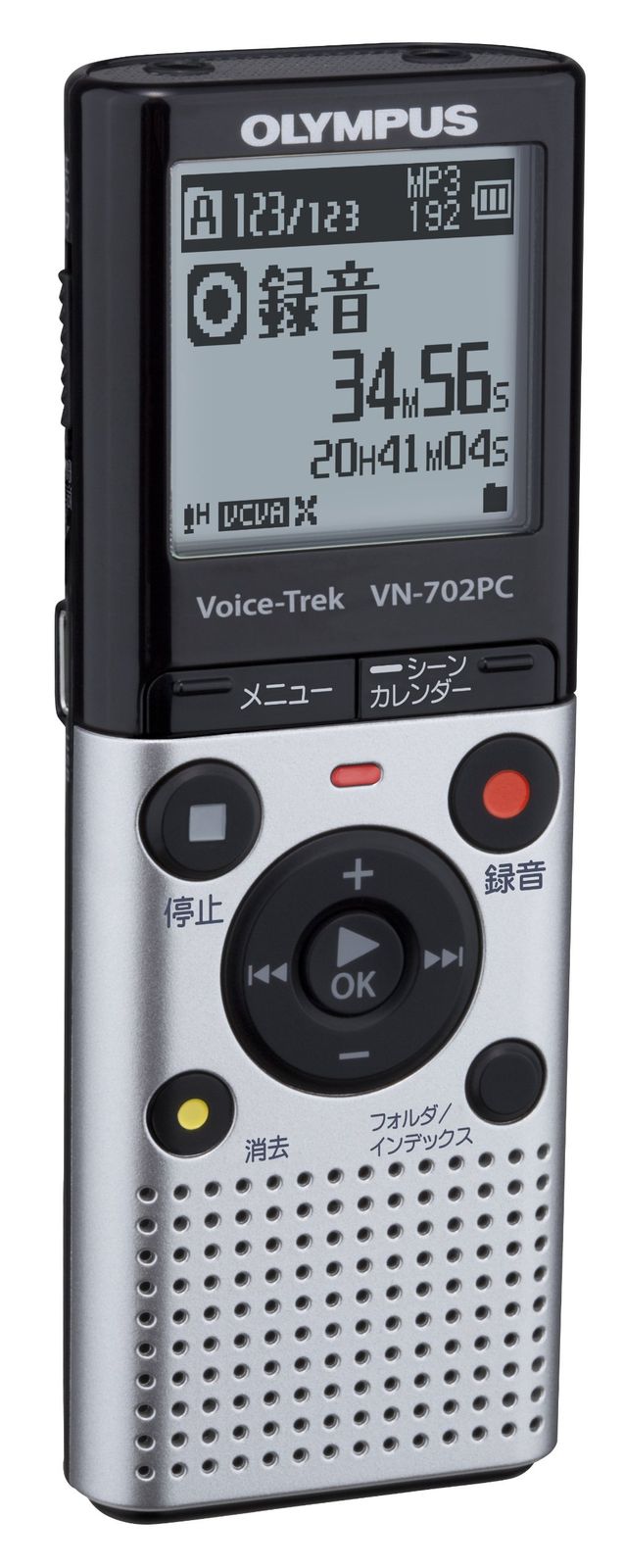 VoiceTrek