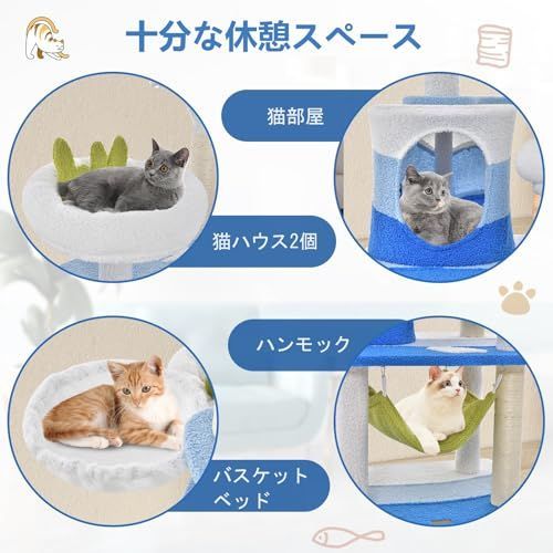 猫用