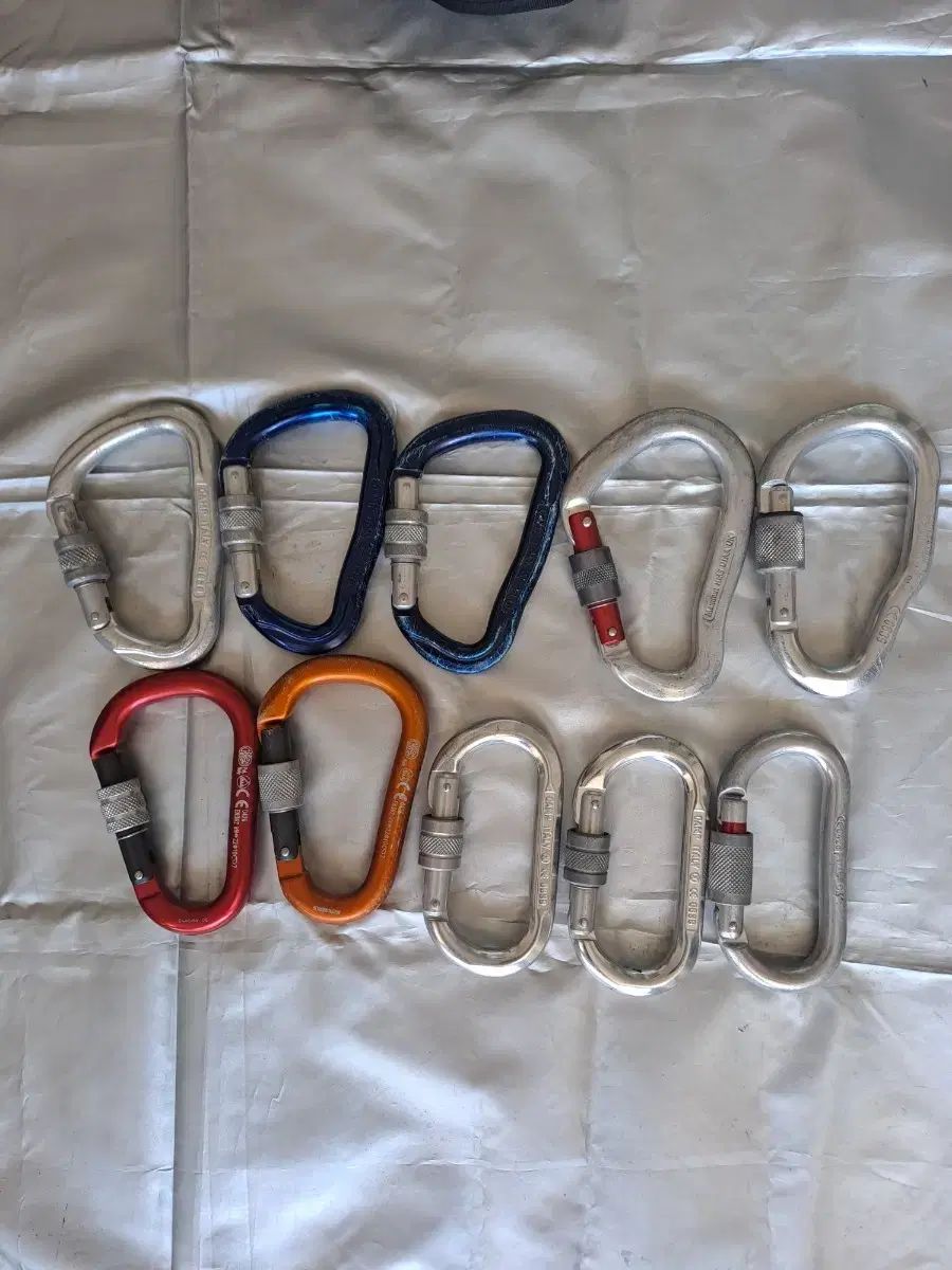 ロックウォール 登山 ロックアウト バイナー 11 犬