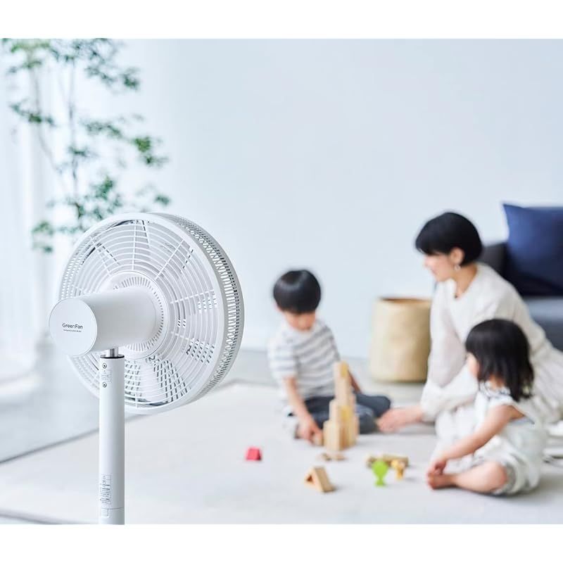 The GreenFan