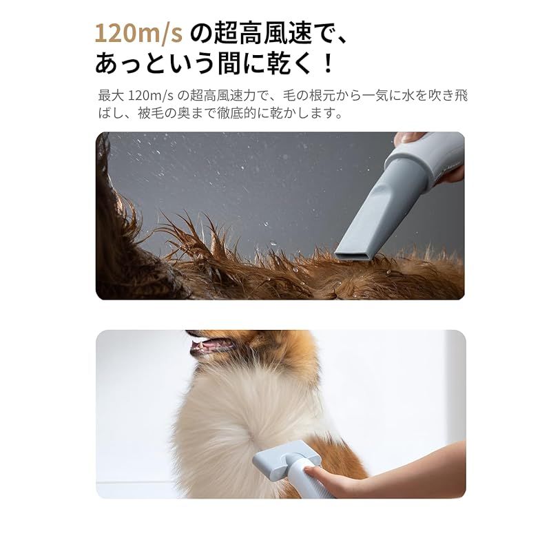 ホームランペット