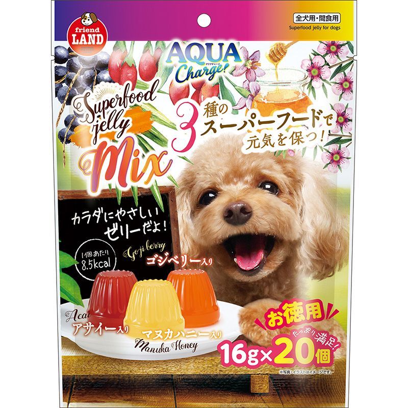 電気GROOVEのオールナイトニッポン 春の歩み & 愛のチョメチョメ