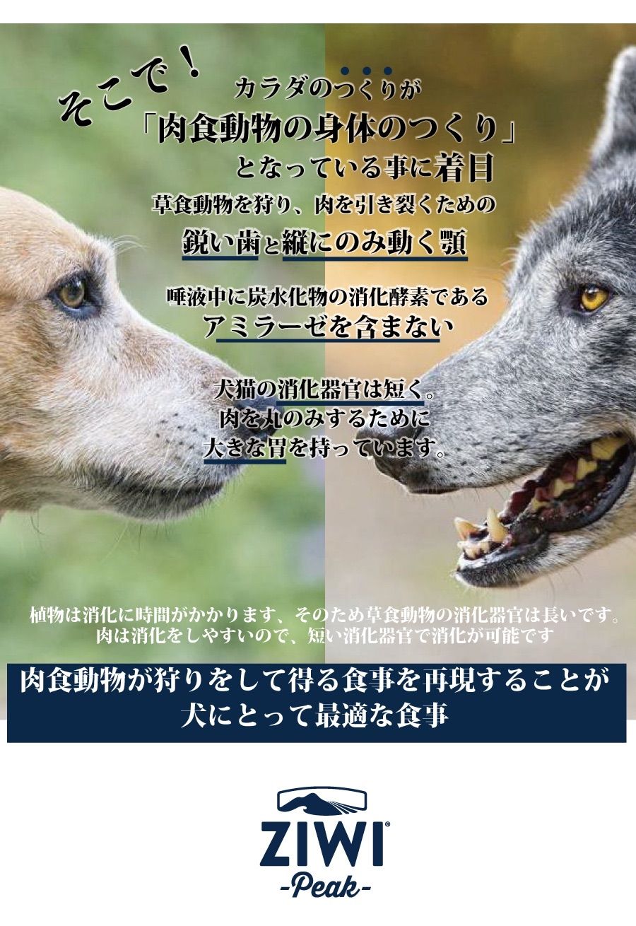 12缶入り