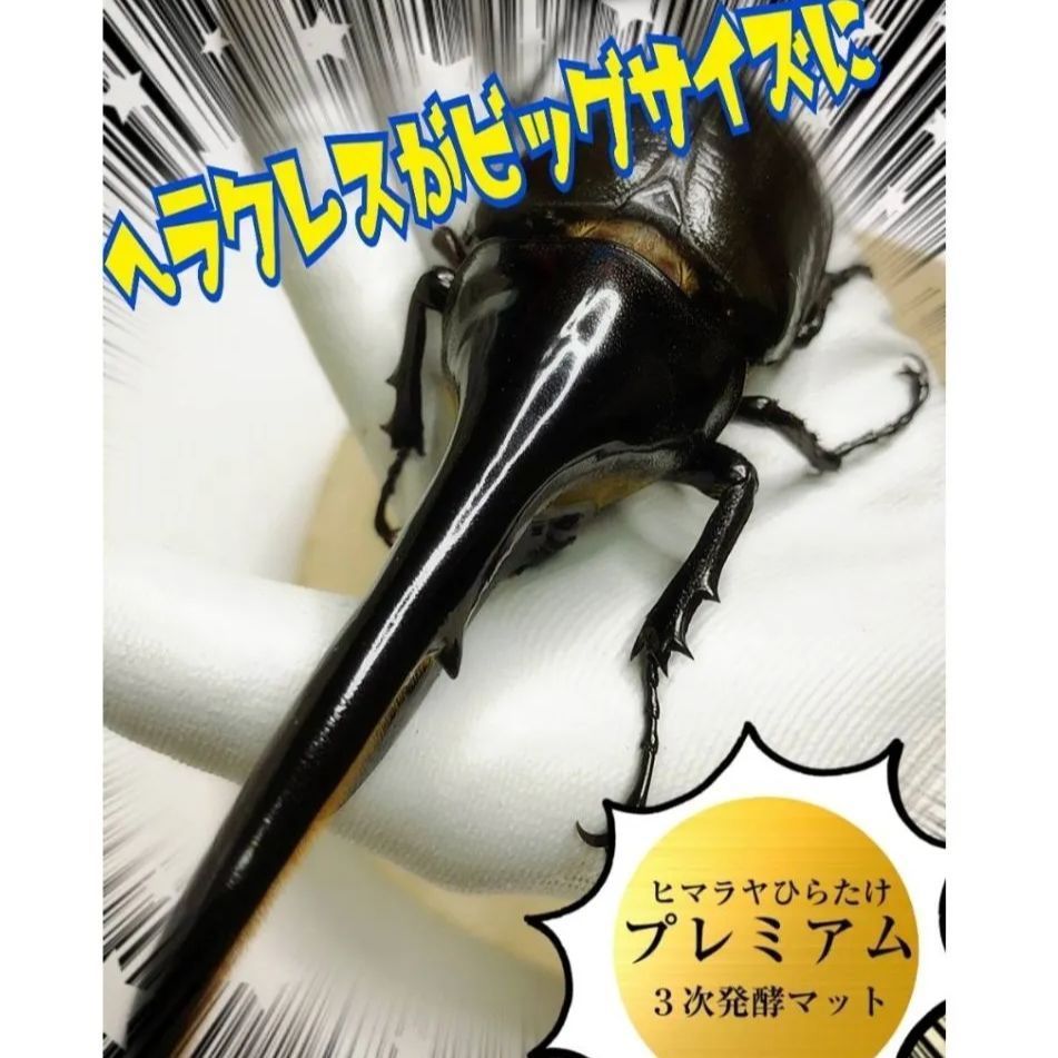 極上☆ギネス狙いに！プレミアム3次発酵カブトムシマット【8袋】特殊アミノ酸強化！ 極上☆ギネス狙いに！プレミアム3次発酵カブトムシマット【8袋