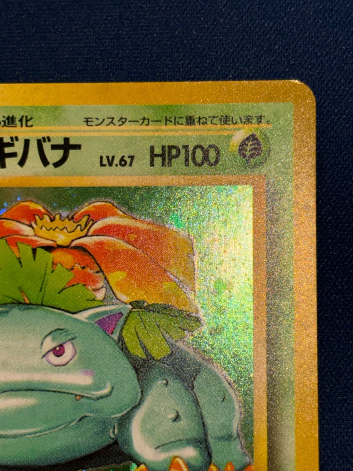 旧裏 フシギバナlv67 フシギバナ Lv67 旧裏 マークありの通販 りと（330406843） | magi