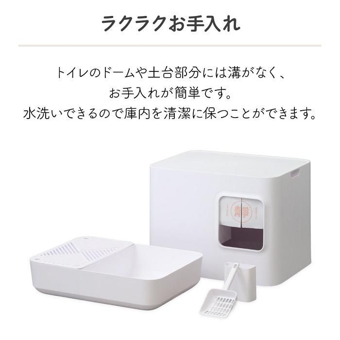 掃除
