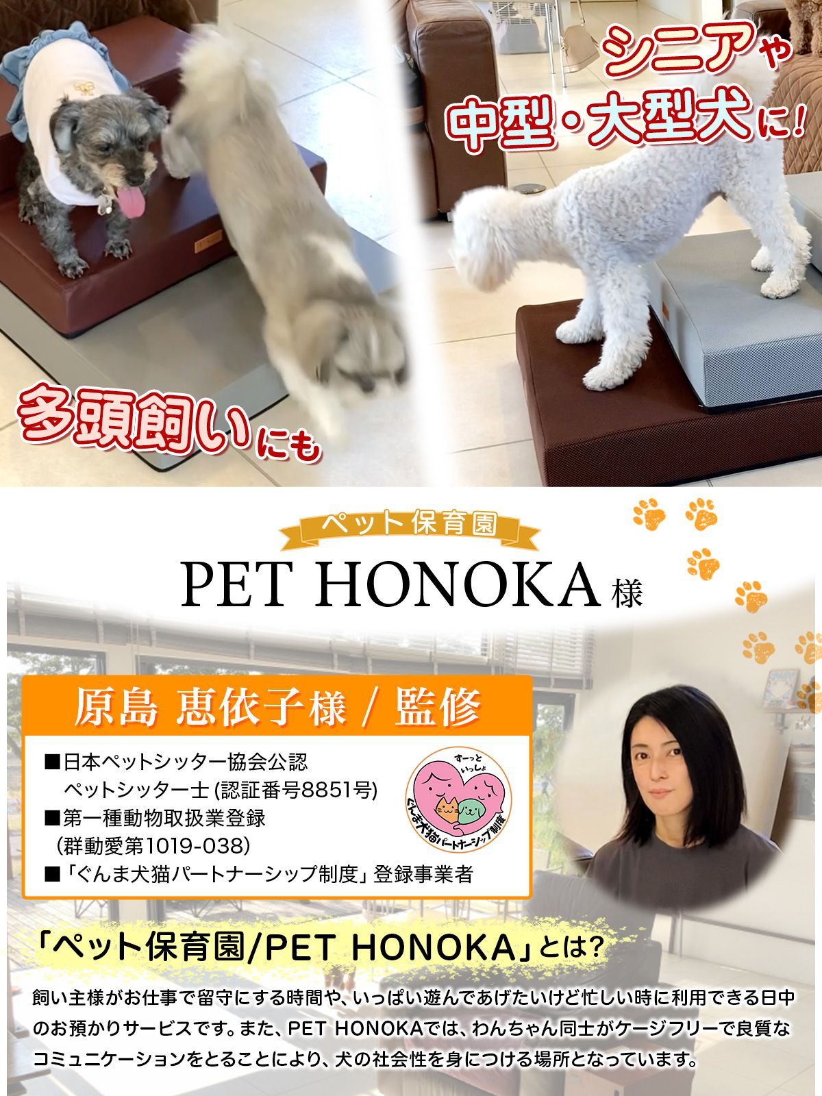 犬用 ステップ